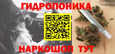 jwh Тара