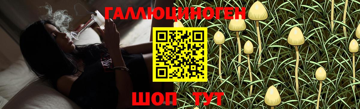 купить   Вход с VPN  Октябрьский  Псилоцибиновые грибы Magic Shrooms 