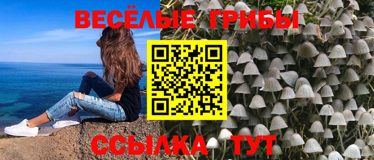 Псилоцибиновые грибы ЛСД Октябрьский